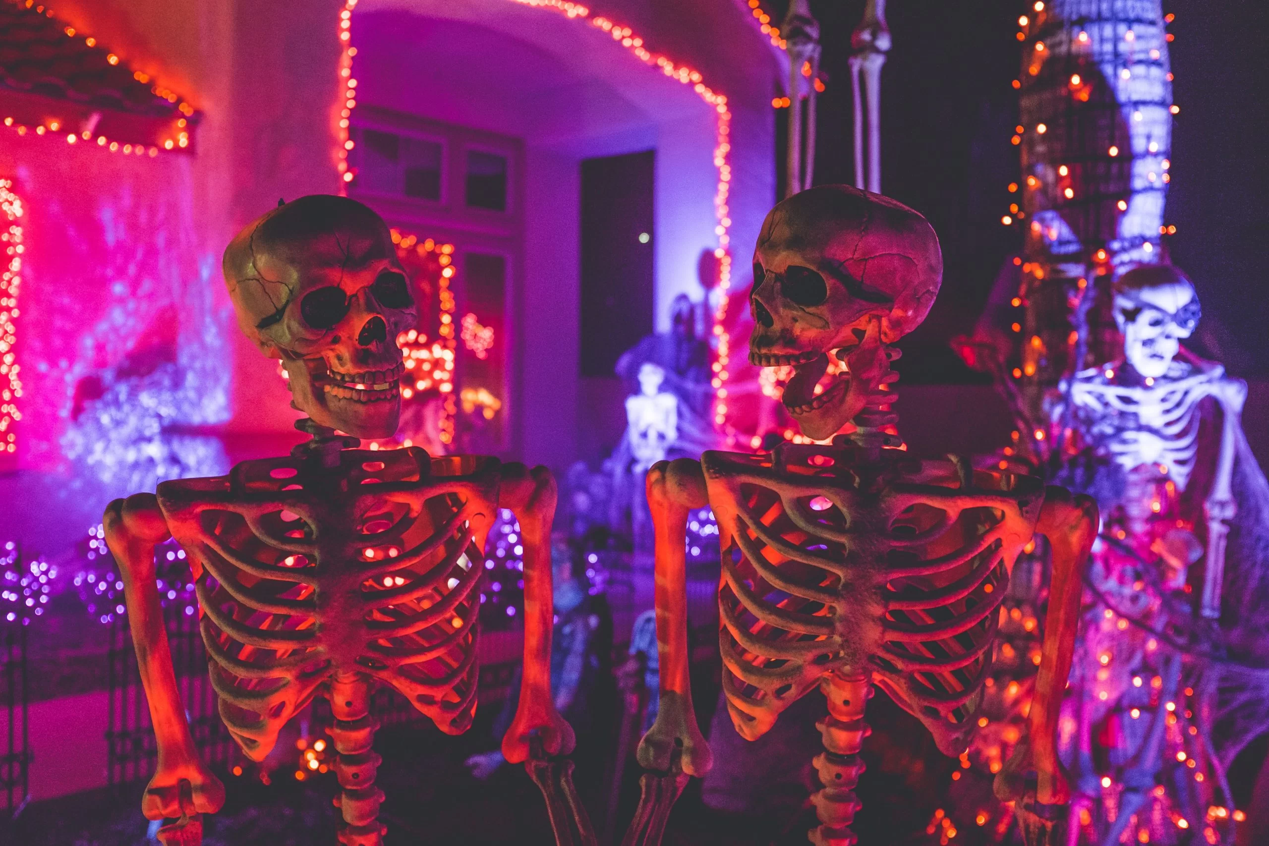 Skeletons surrounded by colourful decorations.